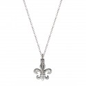 La fleur de lys