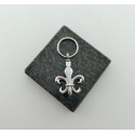 La fleur de lys